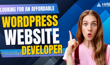 Looking for an Affordable WordPress Website Developer in Delhi?